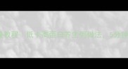 小米藜麦粥懒人早餐教程低卡高蛋白养生粥做法5分钟搞定一整天能量
