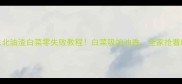 东北油渣白菜零失败教程白菜吸饱油香全家抢着吃