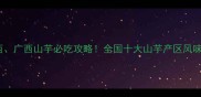 山东陕西广西山芋必吃攻略全国十大山芋产区风味与营养全