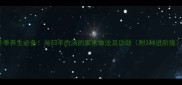 冬季养生必备当归羊肉汤的家常做法及功效附3种进阶版