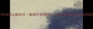 家庭零失败版山椒凤爪酸辣开胃秘方手把手教你做出饭店同款爽脆口感