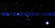蒸饺vs煮饺哪种才是你的本命吃法5大维度终极答案