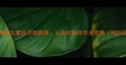 家庭自制健康腌制生姜丝详细教程从选材到保存全攻略附功效与搭配指南
