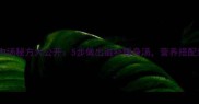家庭羊肉汤秘方大公开5步做出滋补暖身汤营养搭配禁忌全