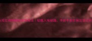 零失败红烧鸭脚的家常做法软糯入味秘籍手把手教你做出饭店同款